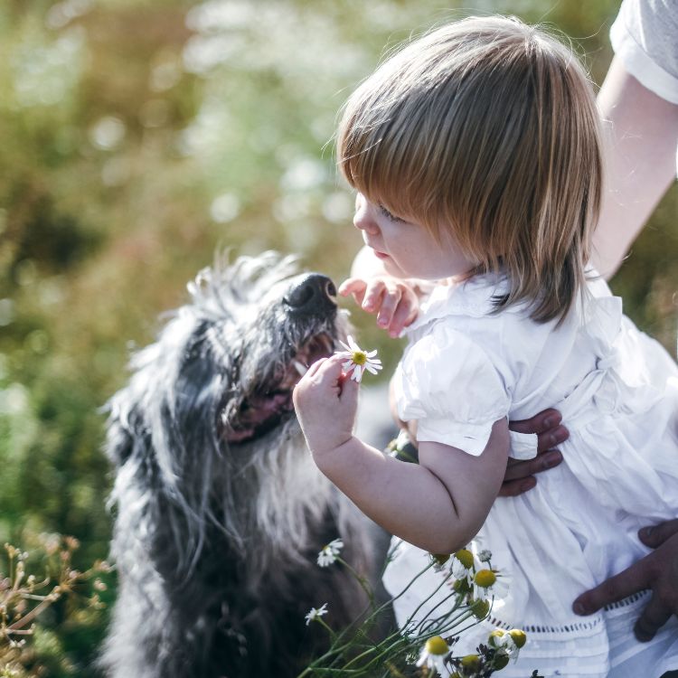 Niki Newd co-founder Kirsi Kaukonen with her beloved Scottish Deerhounds – a glimpse into the values that inspire Niki Newd's handcrafted, nature-rooted fresh skincare philosophy.